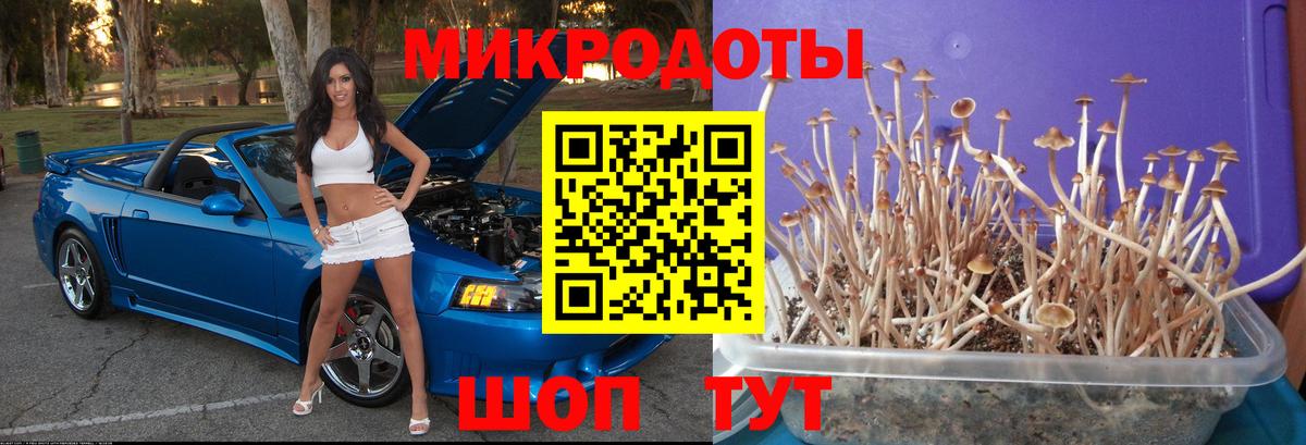 Сертолово  Псилоцибиновые грибы Psilocybine cubensis  Вход с VPN  Галлюциногенные грибы прущие грибы 